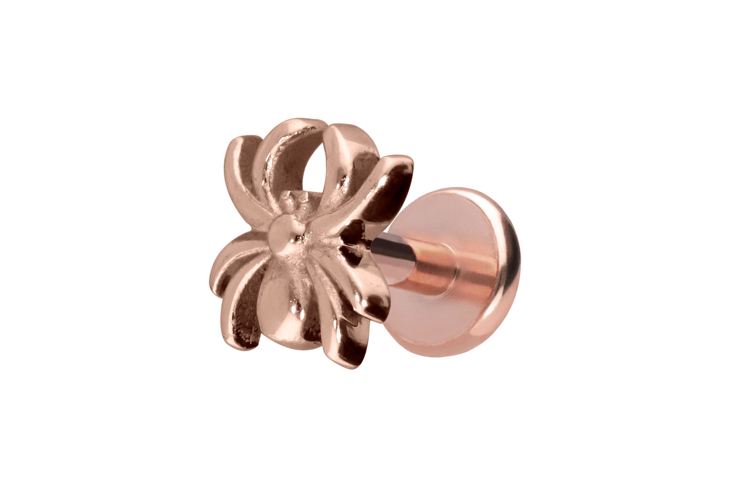 Titan Labret Piercing mit Push Fit SPINNE